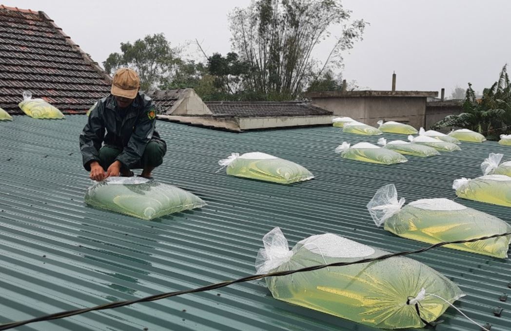 Nguoi dan nen o nha tu sang thu 7 de tranh sieu bao Yagi hinh anh