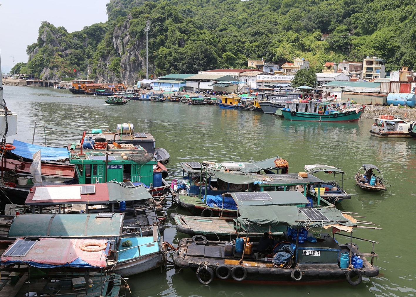 Quang Ninh cam bien tu 11h ngay 6/9 de ung pho bao so 3 hinh anh