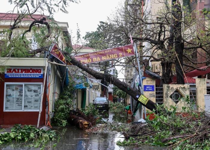 Hai Phong tan hoang sau bao Yagi hinh anh