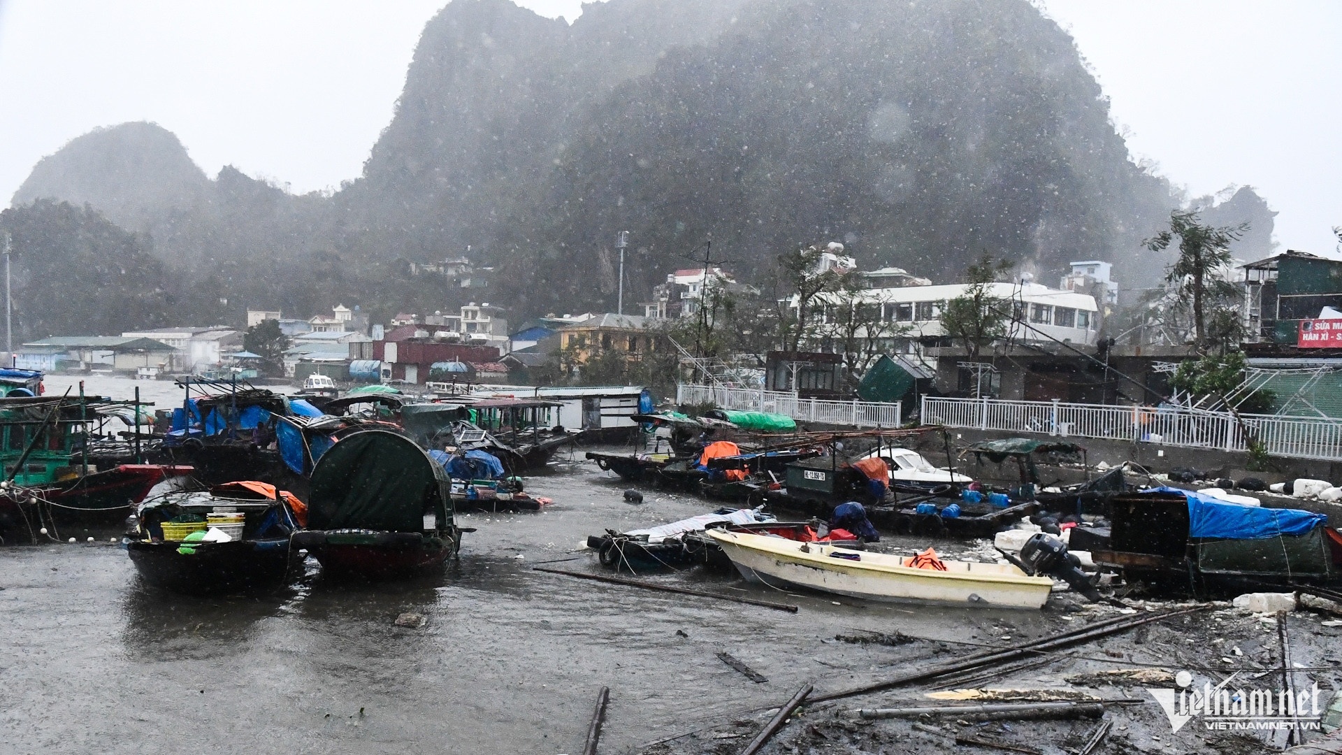 Hau bao so 3,  Yagi anh 1