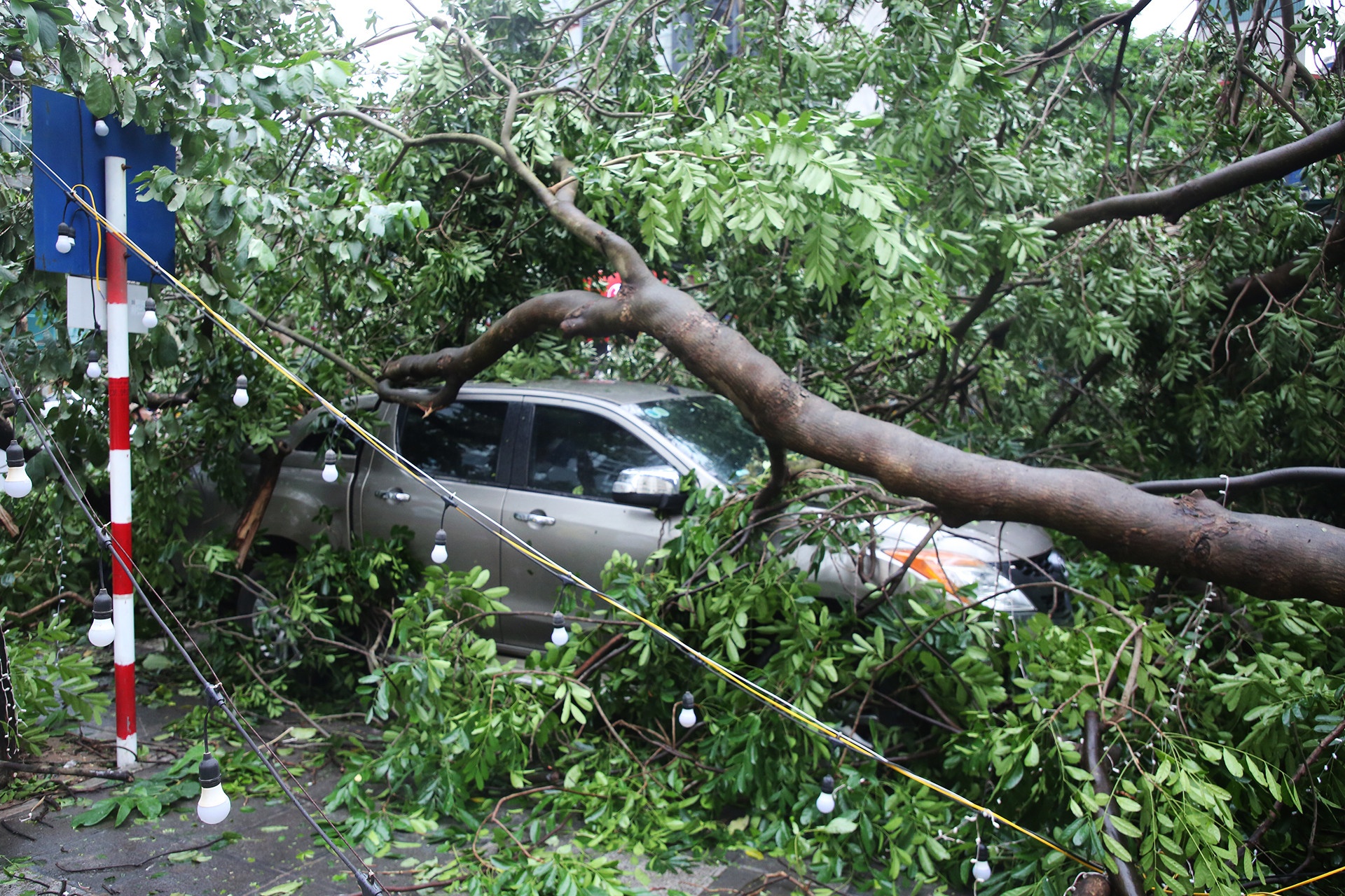 Bao Yagi da lam 14 nguoi chet, 176 nguoi bi thuong hinh anh