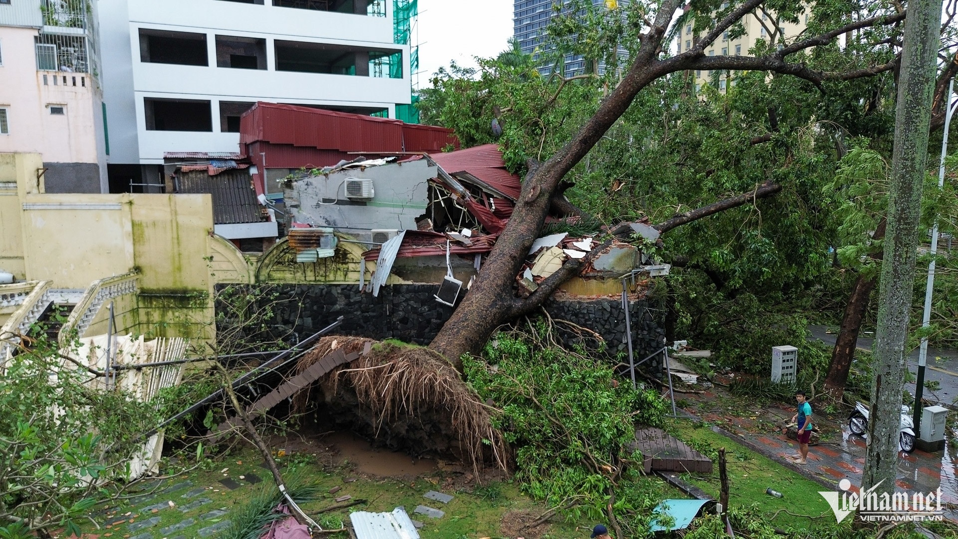 Hai Phong tan hoang anh 3