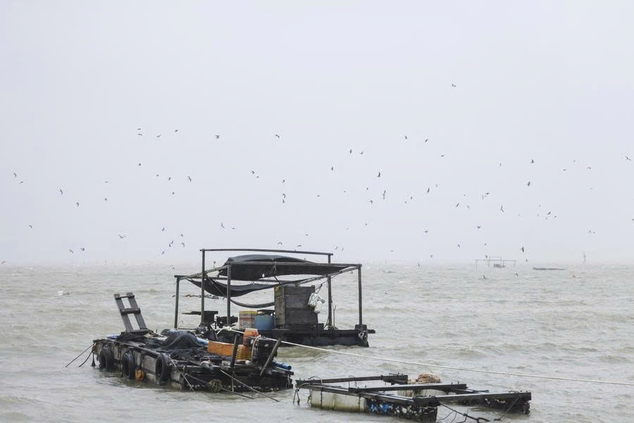 Siêu bão Yagi ảnh 13 Sieu bao Yagi anh 13