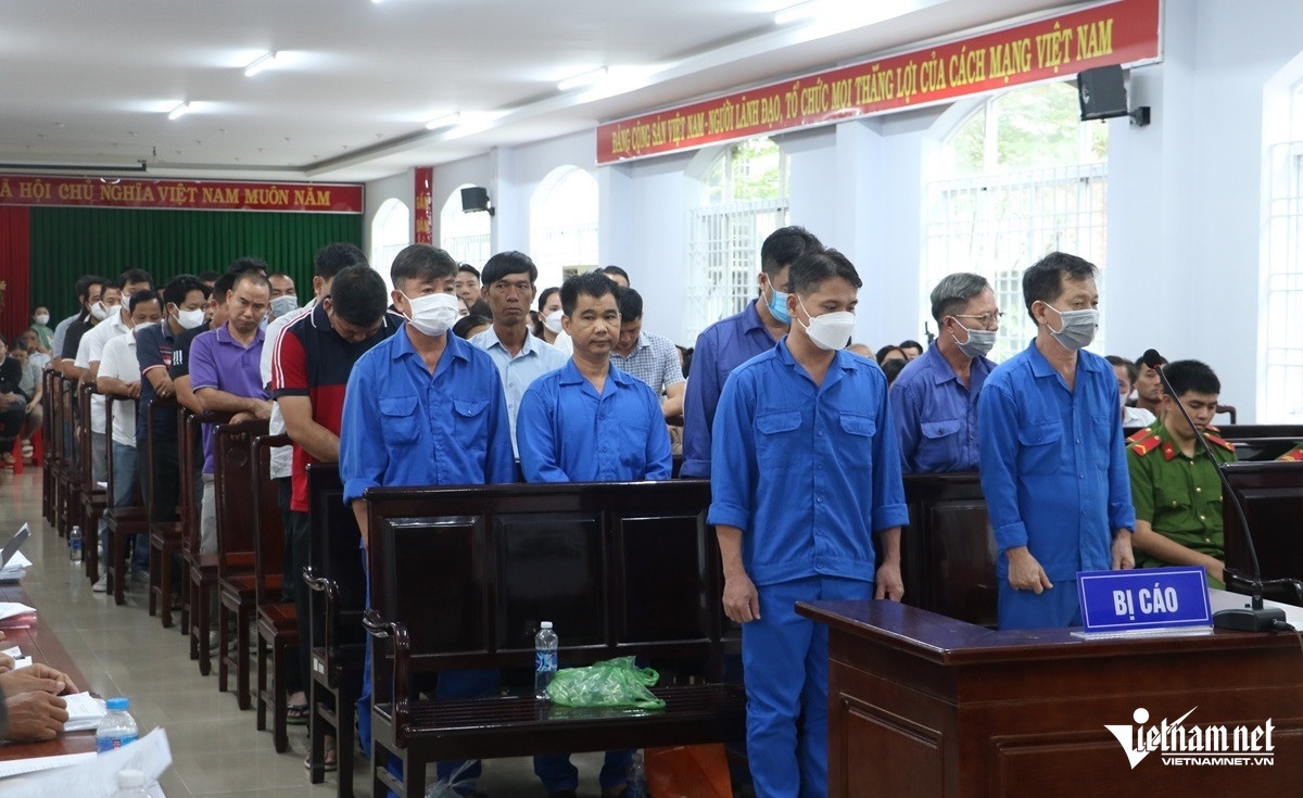 Thanh tra giao thong,  Nhan hoi lo anh 1