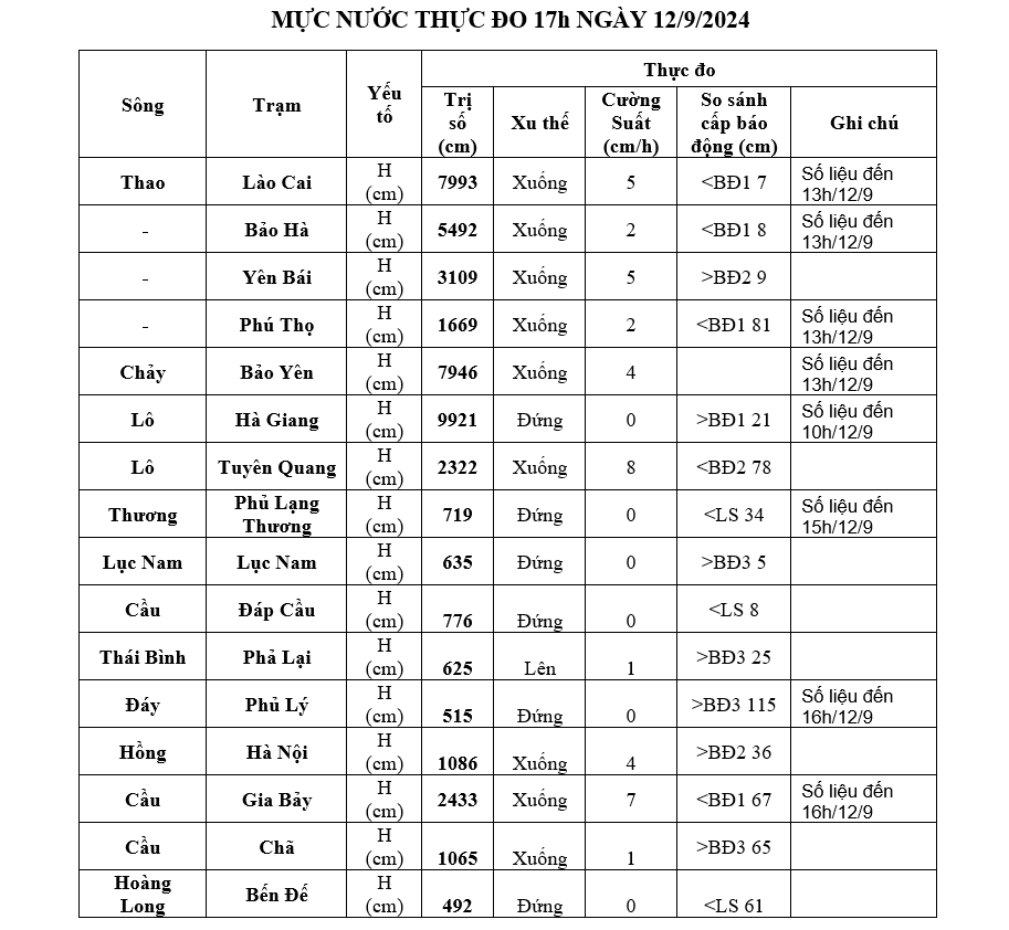 mua giong manh toi anh 2