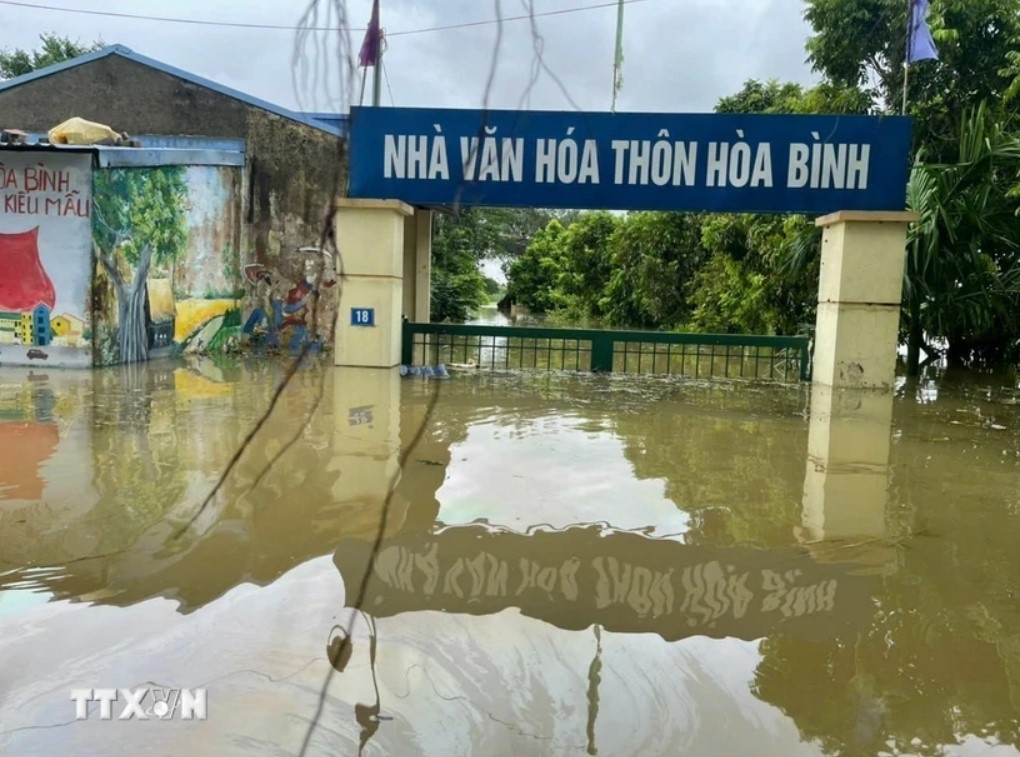 Vo bo bao Dam Khoai tai Soc Son (Ha Noi), nuoc tran vao lua, hoa mau hinh anh