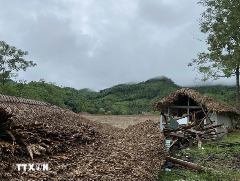 tran lu quet kinh hoang anh 5