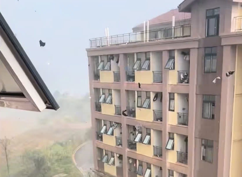 Con bao la o Trung Khanh hinh anh