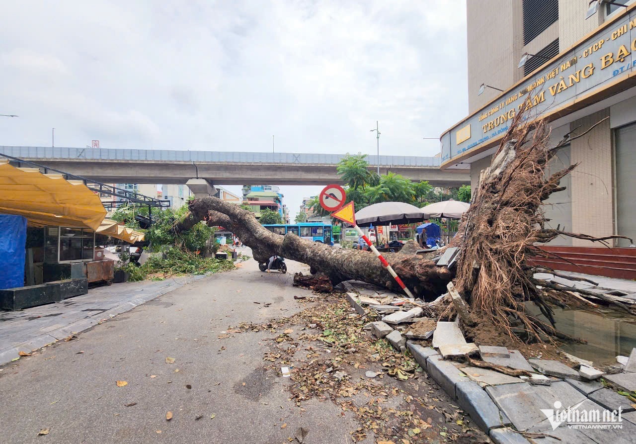 Bao Yagi Ha Noi anh 2