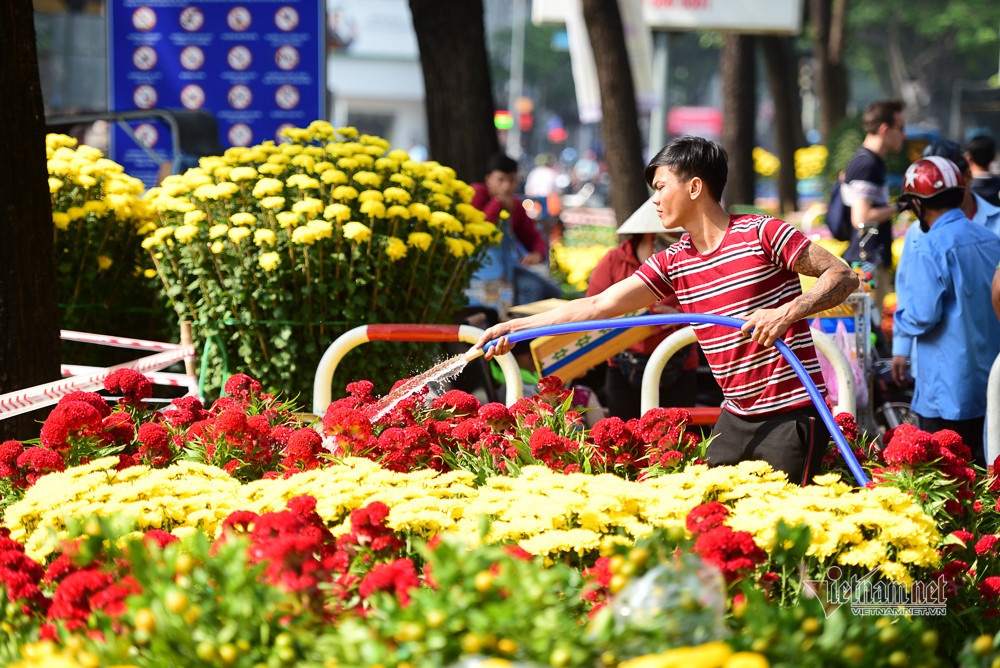 Lich nghi Tet am 2025 anh 1