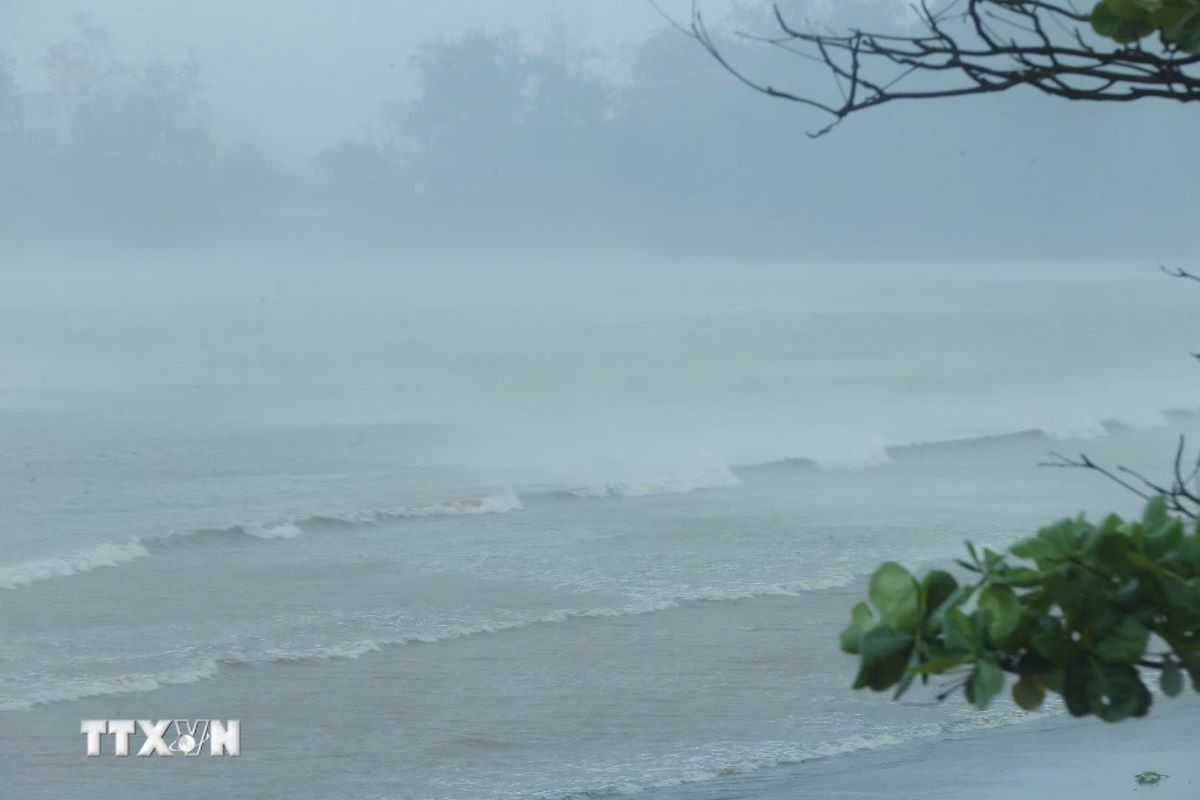 Bien Dong,  Sap don con bao anh 1