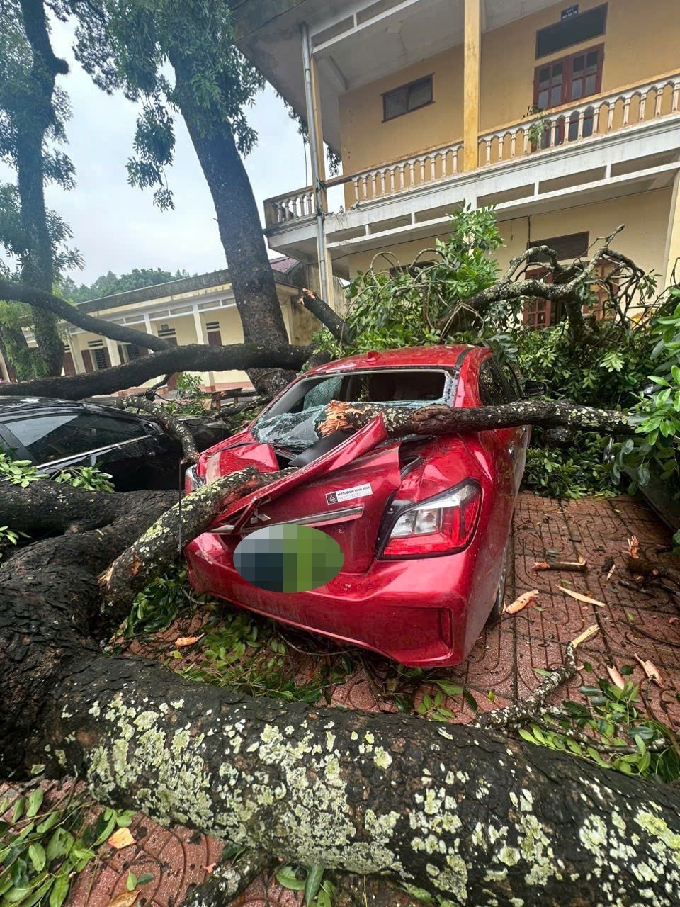 Ha Trung Thanh Hoa anh 3