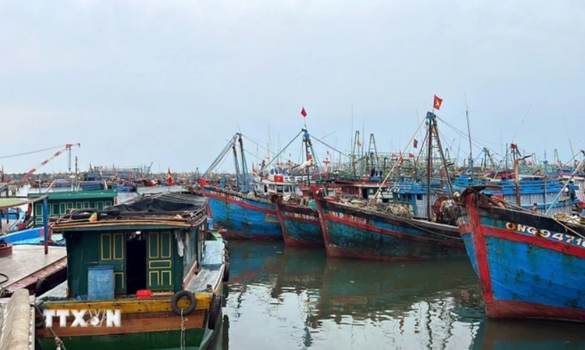 ap thap nhiet doi anh 3