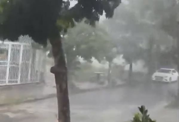 Can canh mua to va gio lon tai Da Nang hinh anh