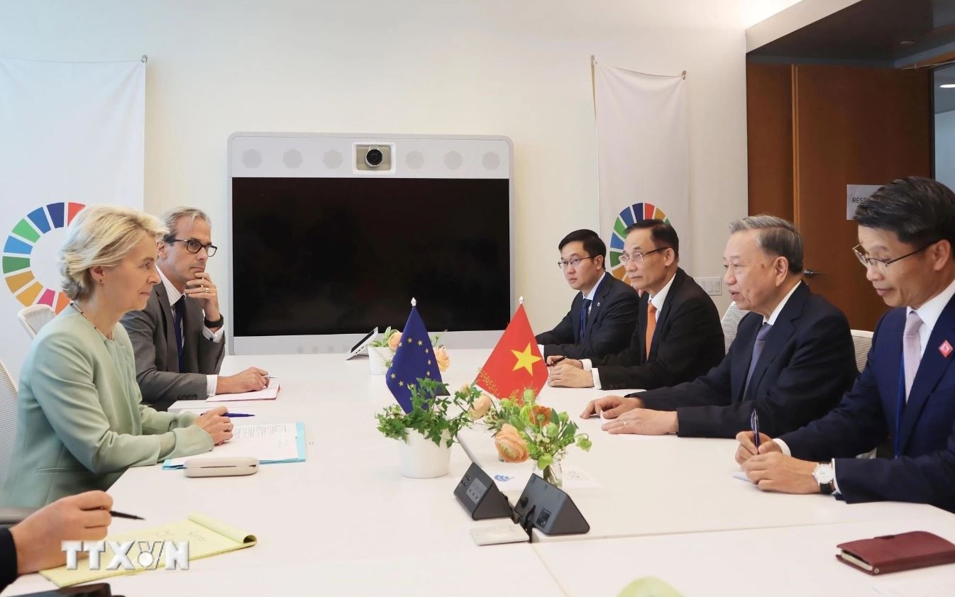 Tong Bi thu To Lam anh 1