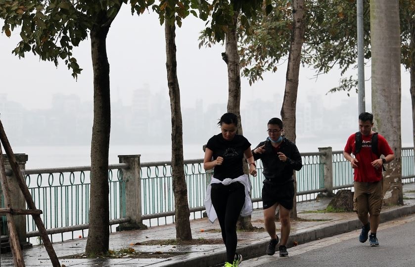 Ha Noi suong mu sang som, Nam Bo mua to hinh anh