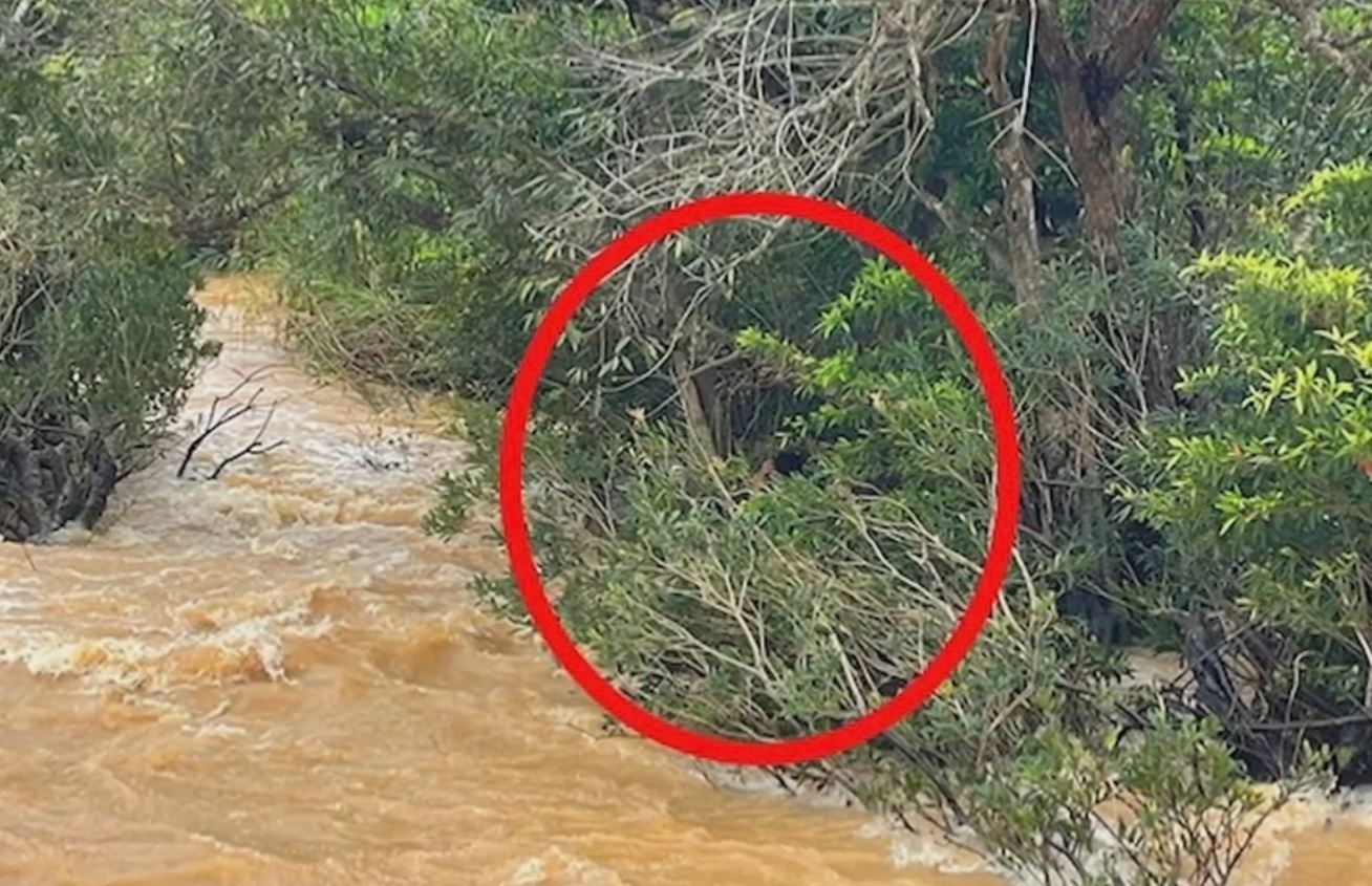 9 ngay song sot than ky cua thanh nien ket giua dong nuoc lu hinh anh