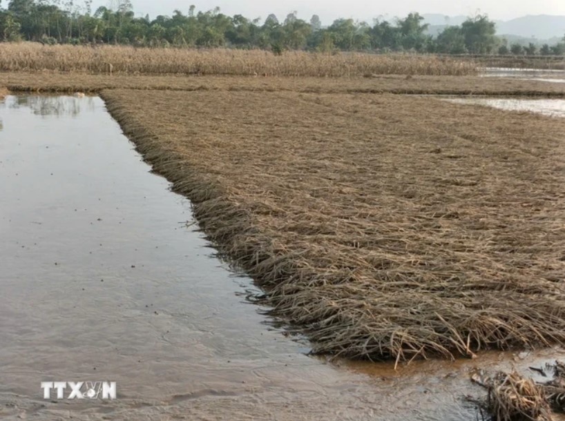 Thu tuong Pham Minh Chinh anh 2