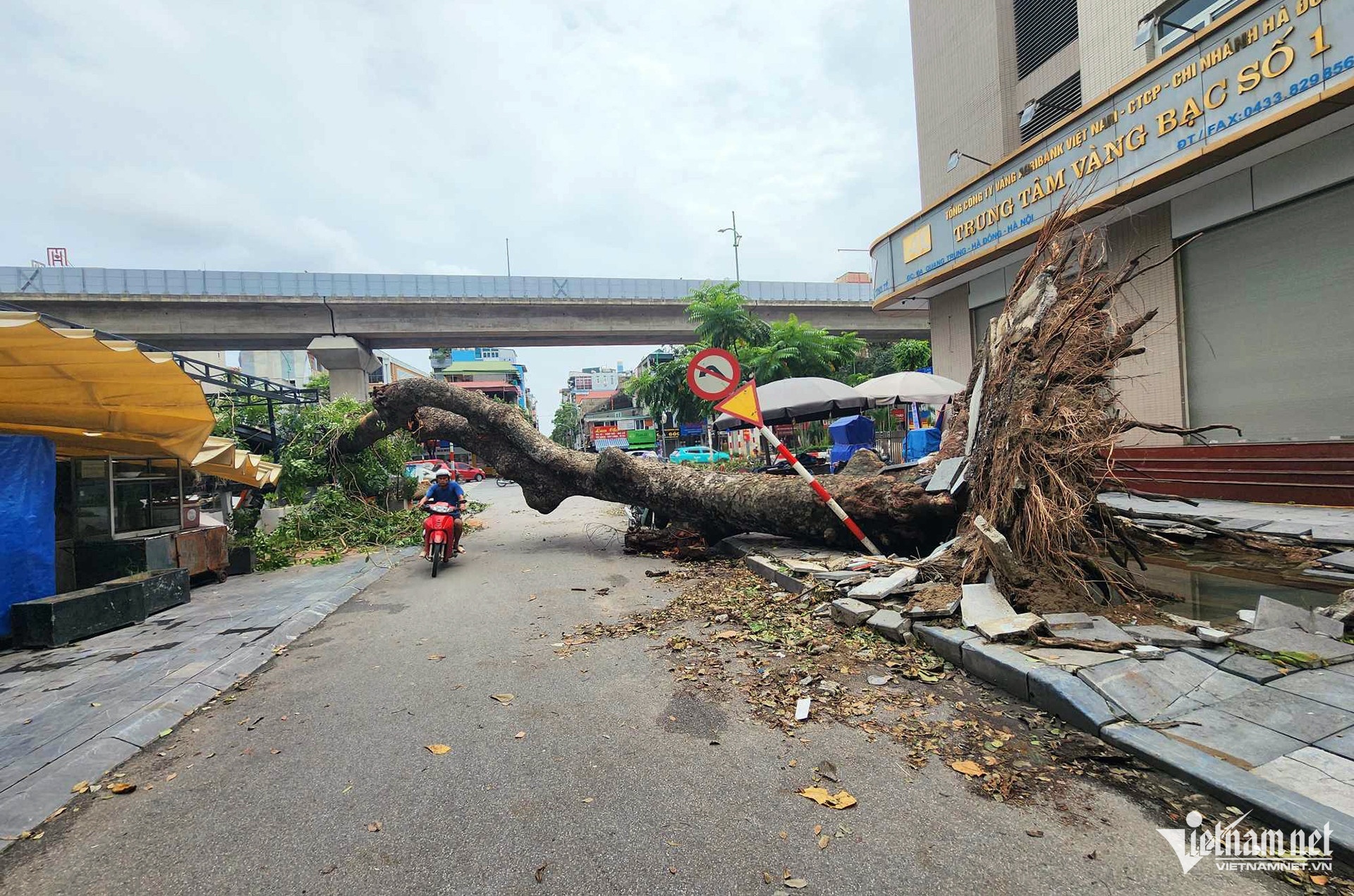 Bao so Yagi Ha Noi anh 1