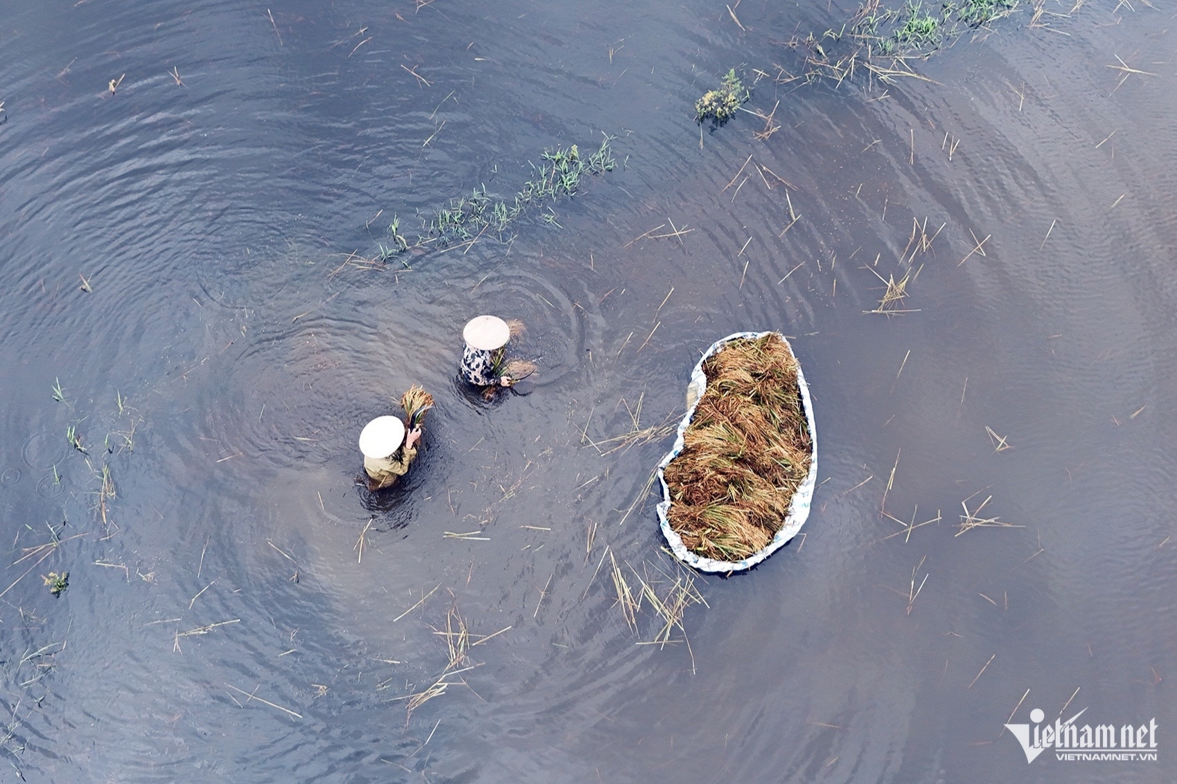 Bao so Yagi Ha Noi anh 2