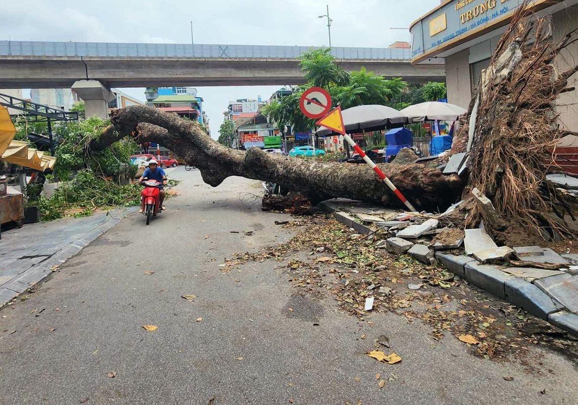 Hon 100.000 cay o Ha Noi gay do do bao Yagi hinh anh