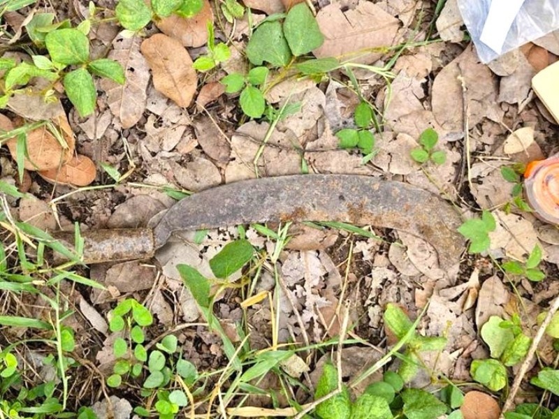 Vuon dieu,  Sat hai me anh 2