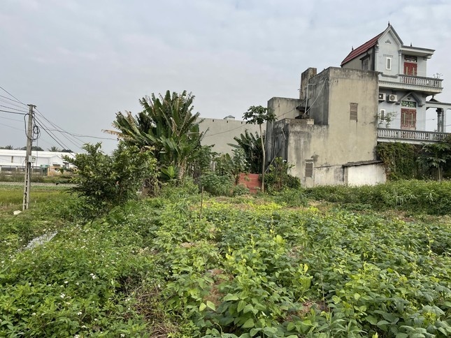 Bat cuu chu tich huyen va nhieu can bo o Thanh Hoa hinh anh