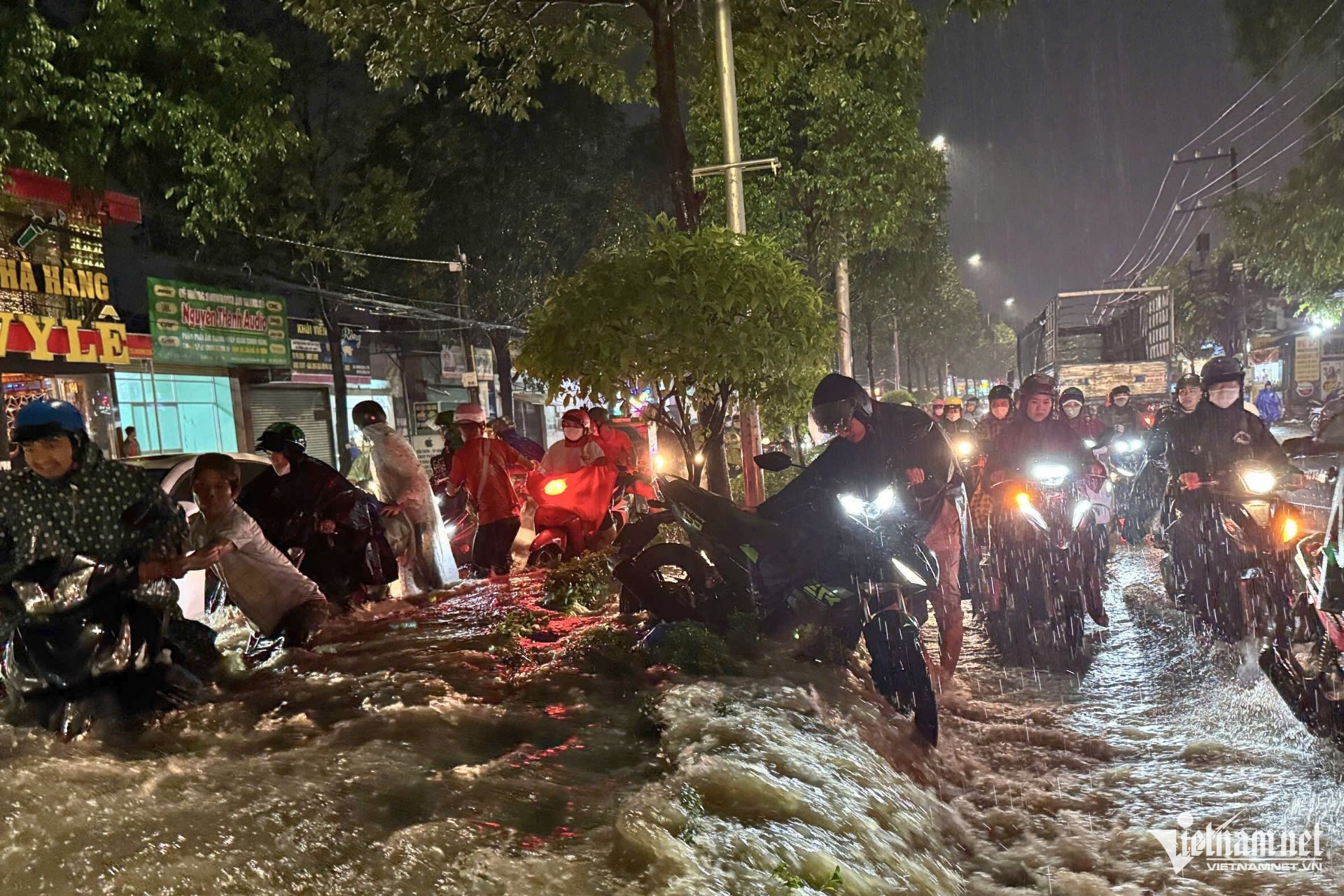 Mua lon keo dai anh 1