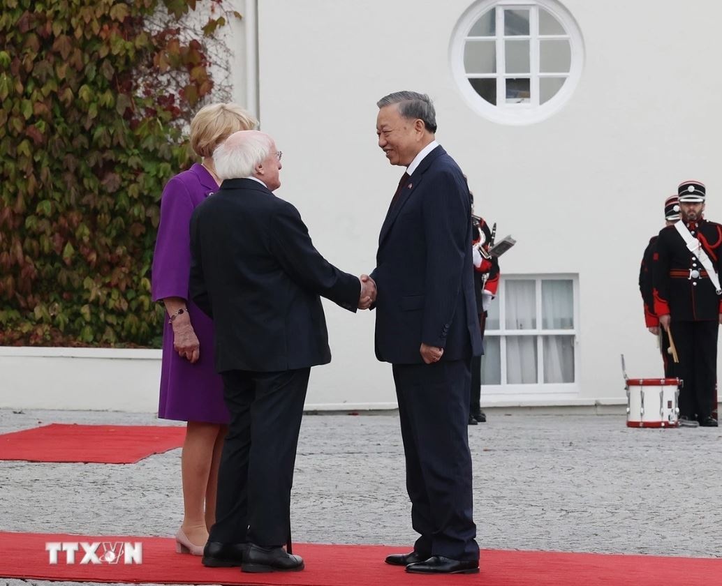 To Lam Michael D. Higgins anh 3