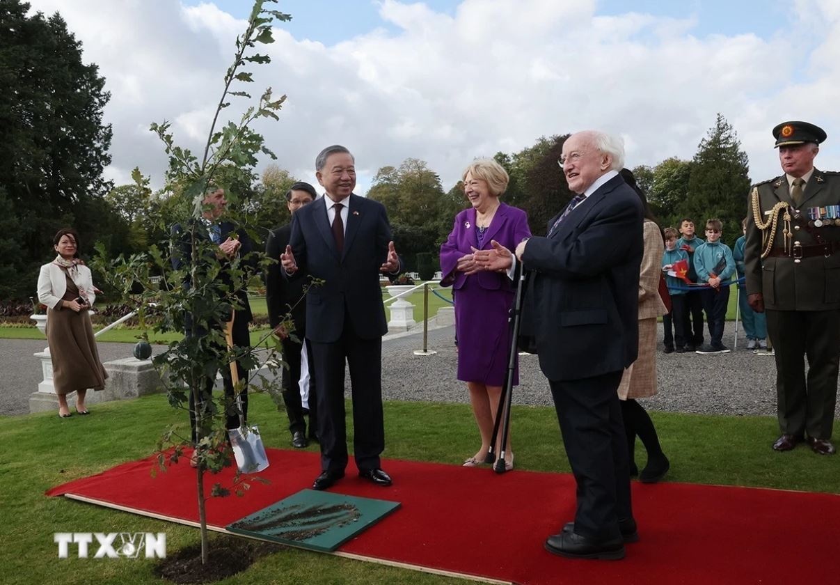 To Lam Michael D. Higgins anh 4