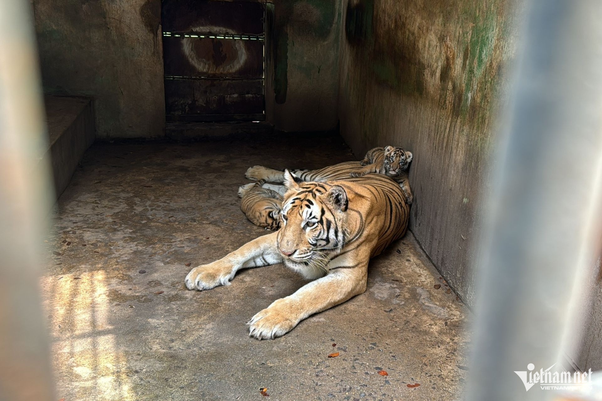 Ho chet Long An anh 1