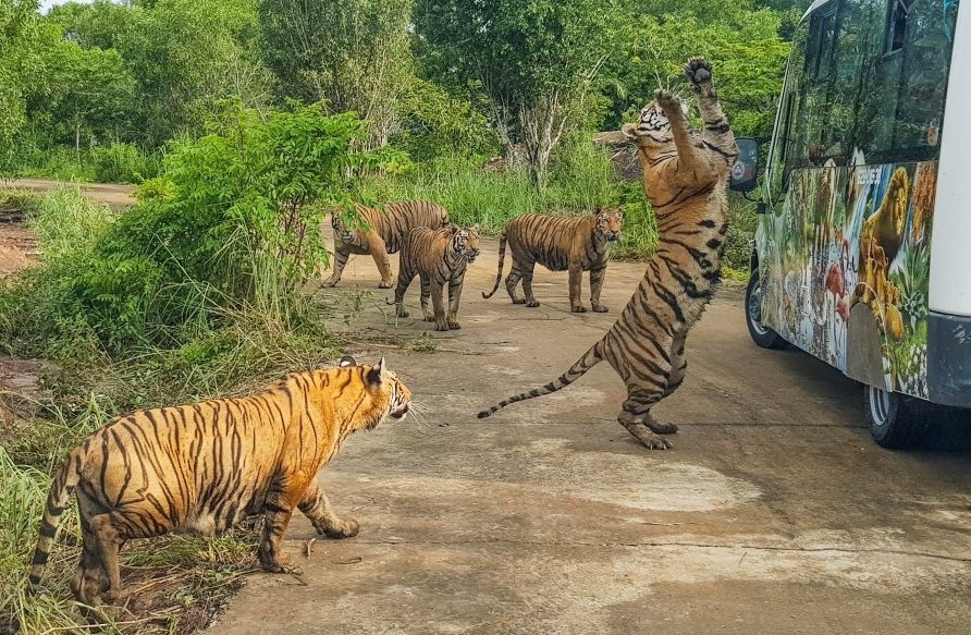 30 ca the ho va su tu chet o Long An duoc xu ly the nao hinh anh