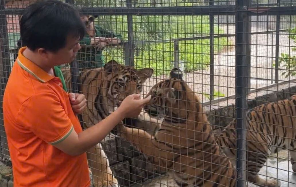 Tieu huy 30 ca the ho va su tu chet o Long An hinh anh