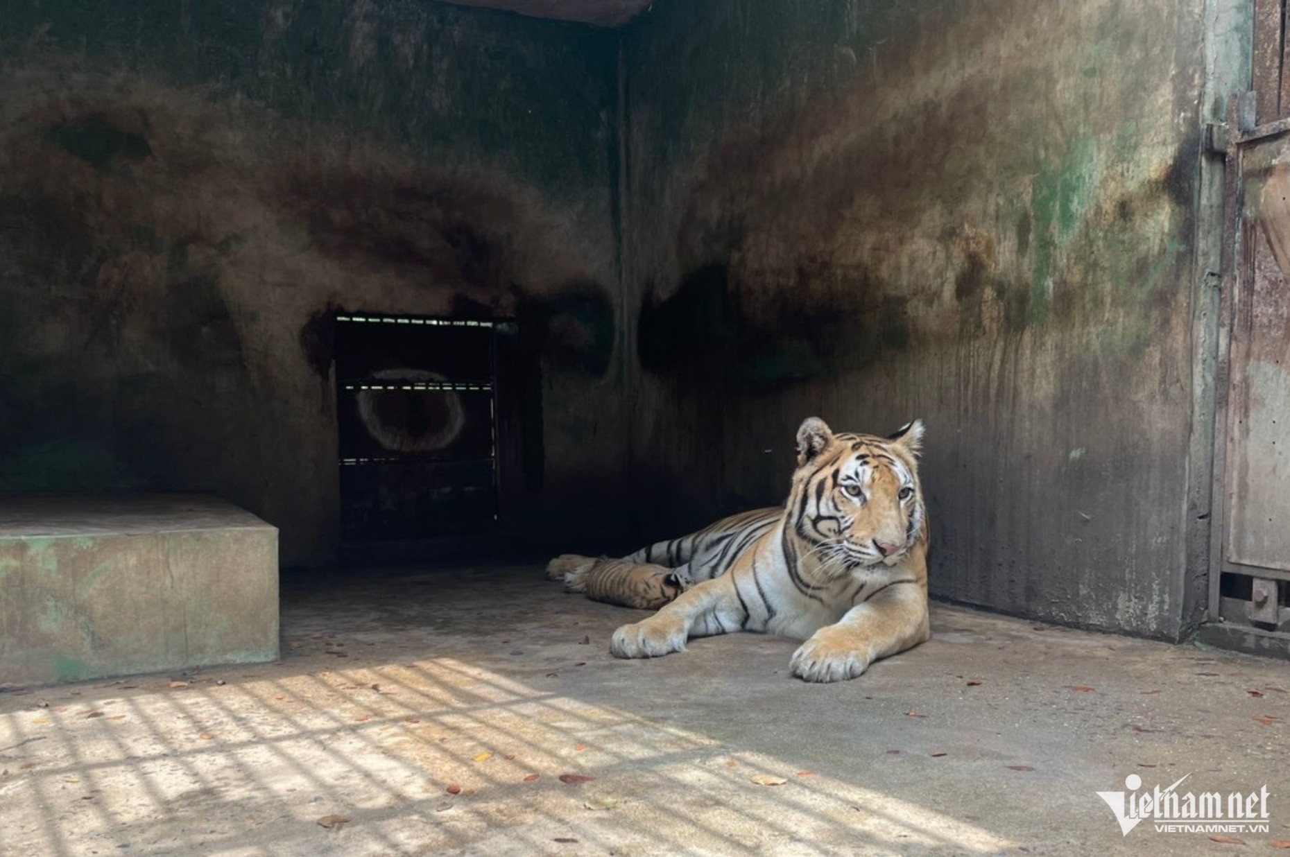 Ho chet Vuon Xoai anh 1