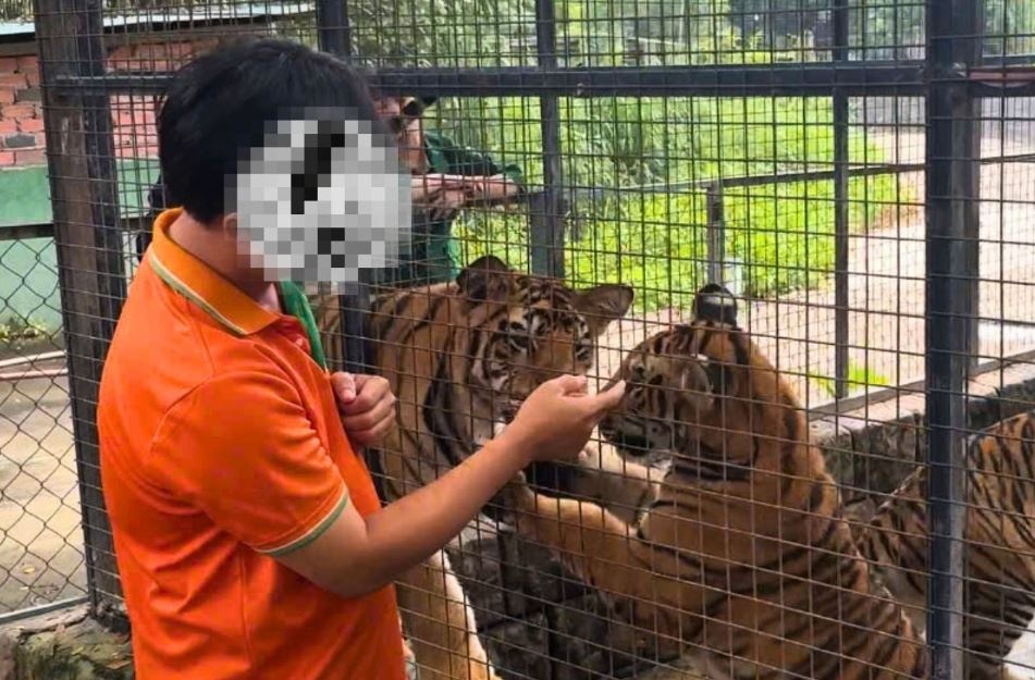 Khoang 30 nguoi tiep xuc ho chet nghi nhiem cum A/H5N1 tai Dong Nai hinh anh