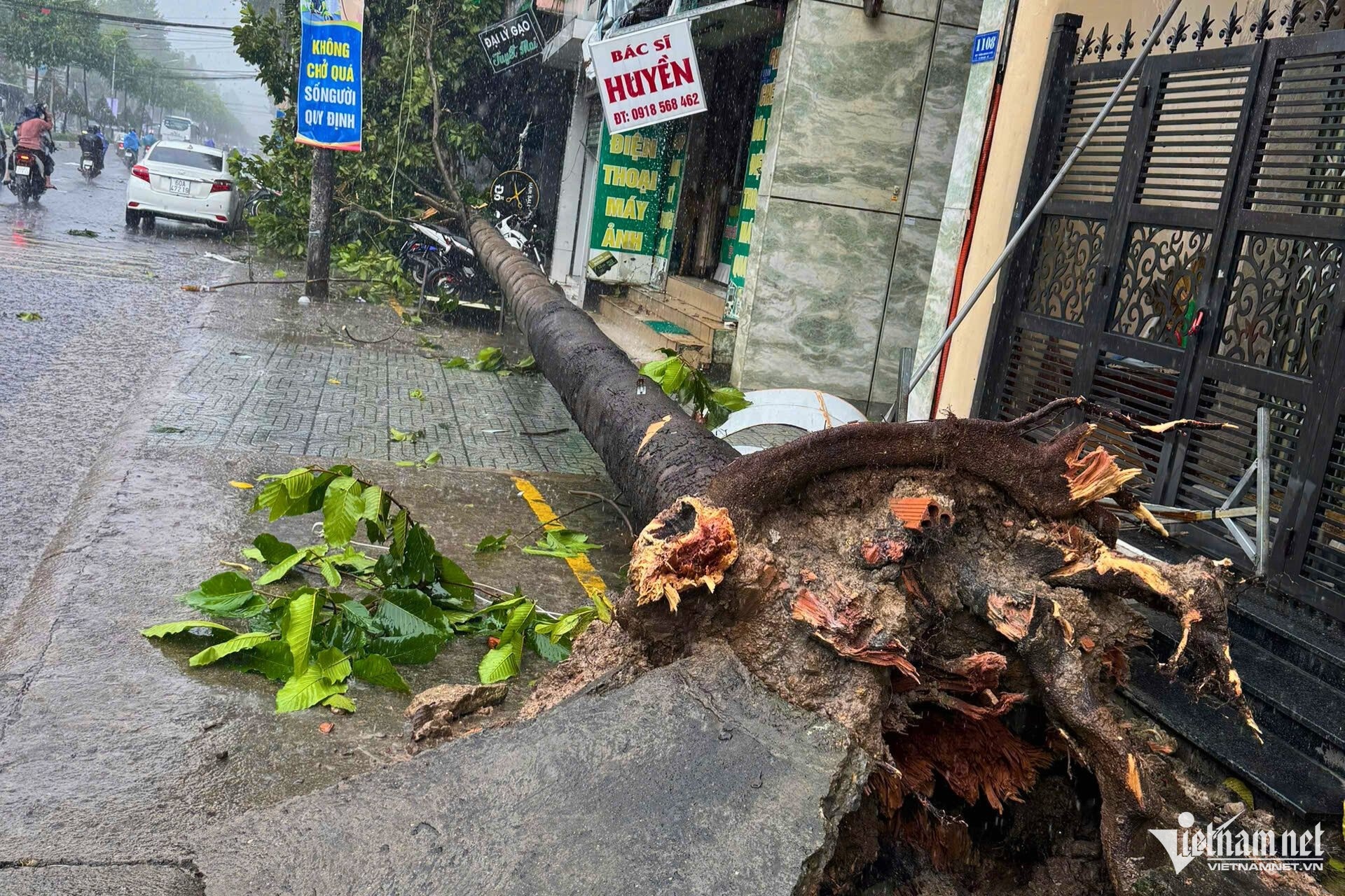 Hang loat cay xanh bat goc trong mua giong, de nhieu xe may o Dong Nai hinh anh