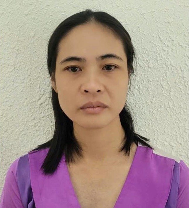 Nu phien dich,  Nguoi giup viec,  Lai Thu Ha,  Do thi Phu Gia anh 1