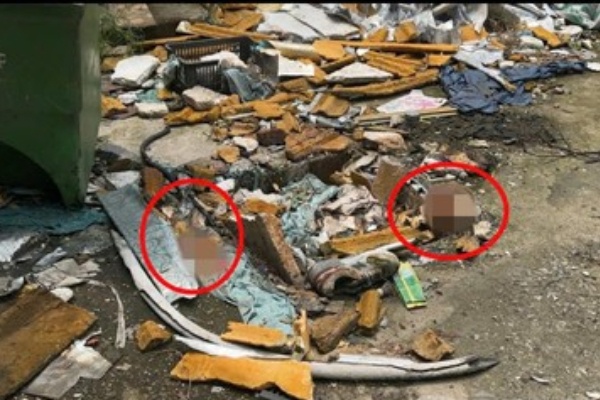 Nghi nan nhan la nguoi nuoc ngoai vu phat hien thi the o quan karaoke hinh anh