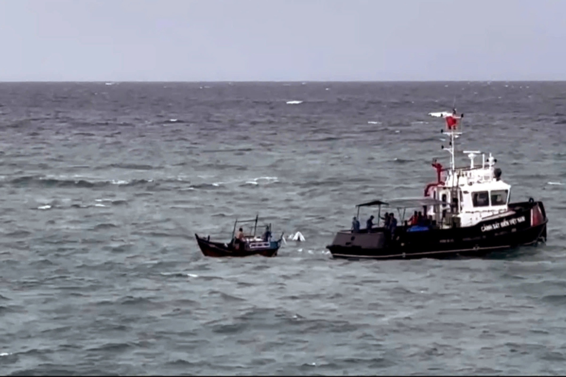 Chim Khanh Hoa anh 1