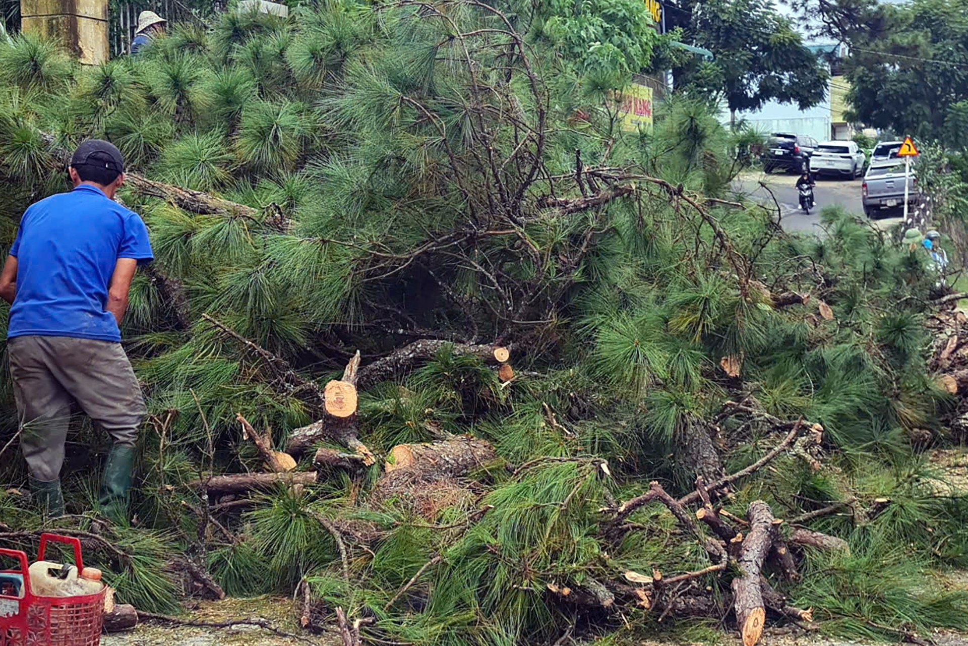 Don thong Da Lat anh 2