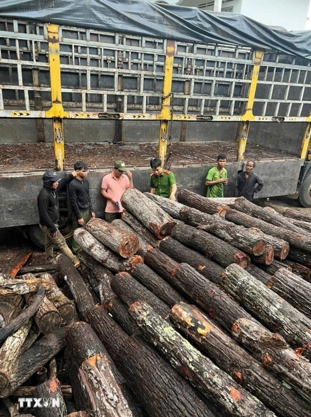 Pha rung Gia Lai anh 2