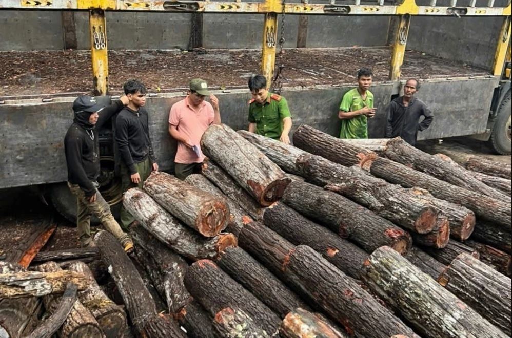 Rung tai xa bien gioi cua Gia Lai doi mat nguy co bi xoa so hinh anh