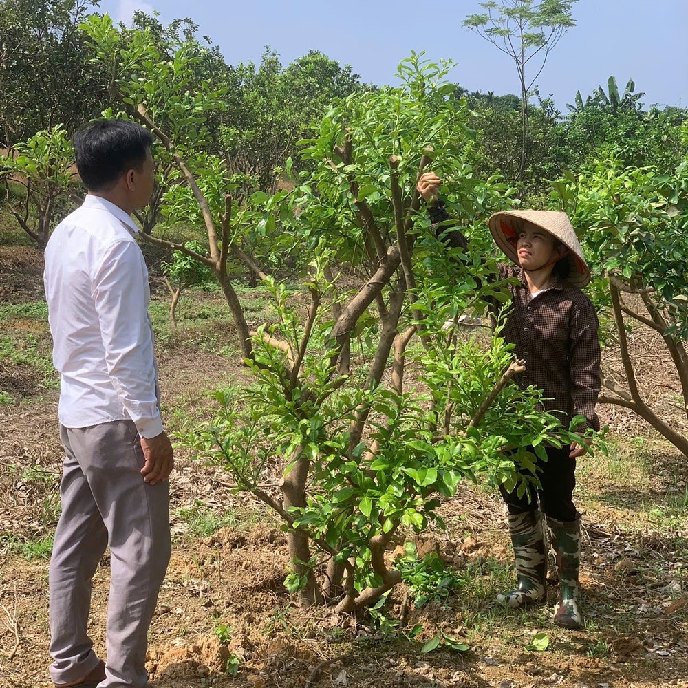 Buoi Doan Hung Bao Yagi anh 4