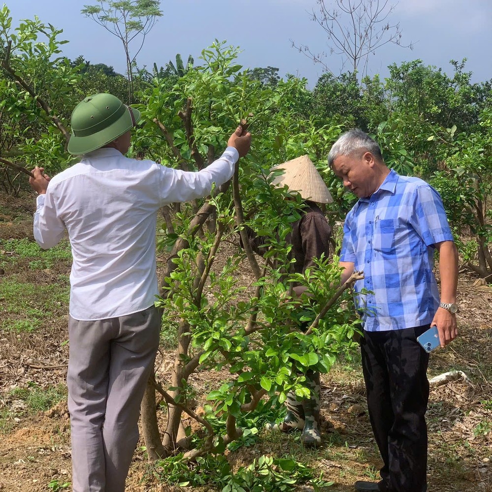 Buoi Doan Hung Bao Yagi anh 5