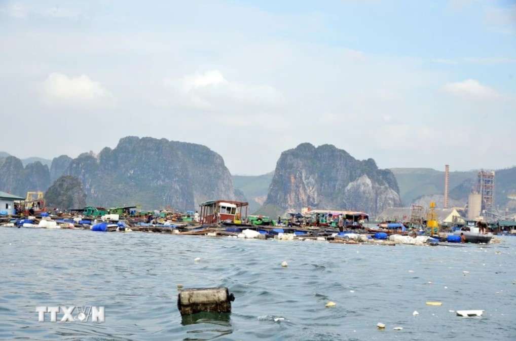 Thu tuong chi dao day manh khoi phuc san xuat nong nghiep sau bao so 3 hinh anh