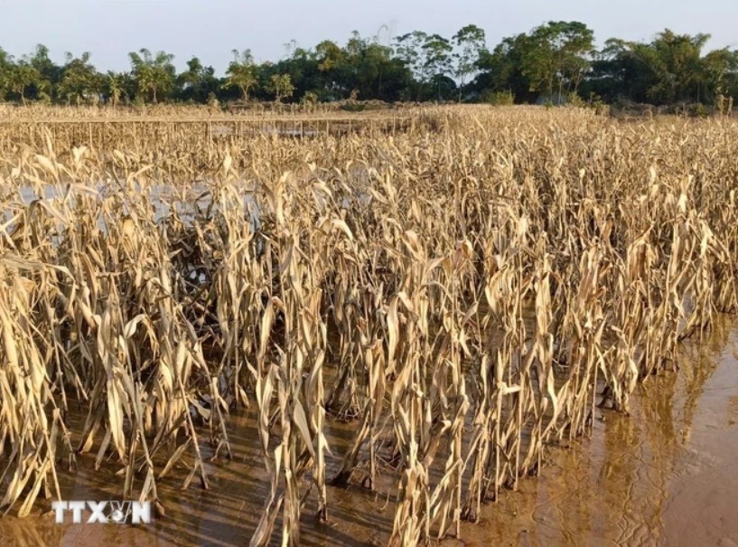 Thu tuong chi dao anh 2