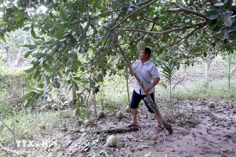 Thu tuong chi dao anh 3