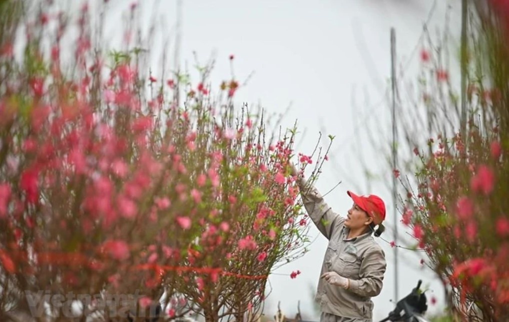 Bo LD-TBXH trinh Chinh phu phuong an nghi Tet Nguyen dan 2025 hinh anh