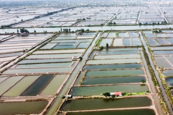 Chiem dat cong o Con Xanh, nguoi dan ong bi phat 175 trieu dong hinh anh