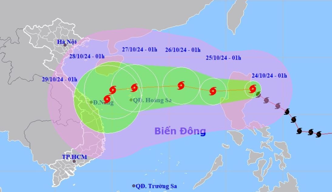 Tin bao Tra Mi moi nhat ngay 24/10 hinh anh
